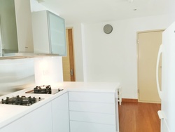 Cairnhill Crest (D9), Condominium #236826971